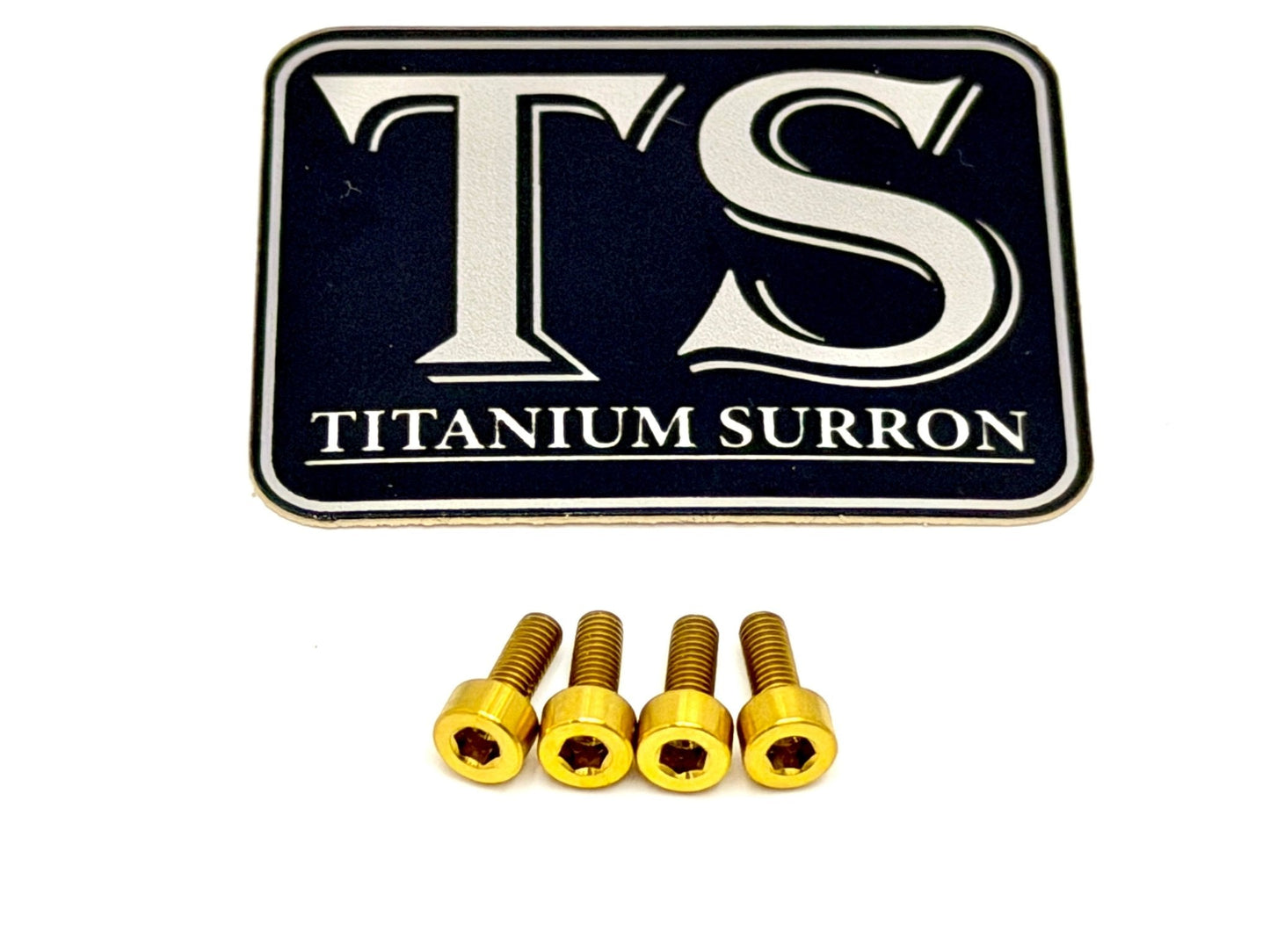 E-Ride Pro Display Protector Titanium Bolts