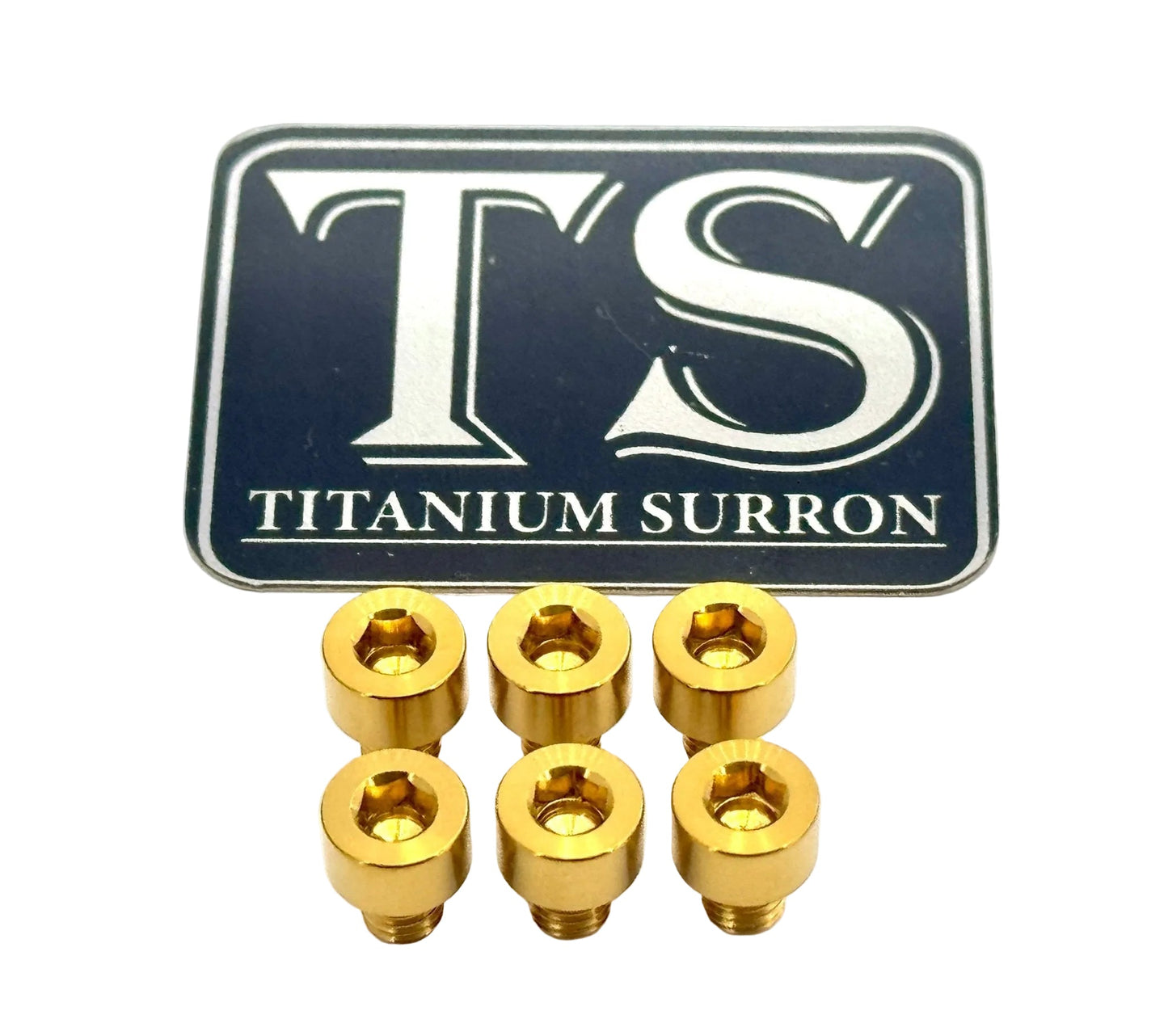 EBMX X9000 Heat Sink Titanium Bolt Kits (6)