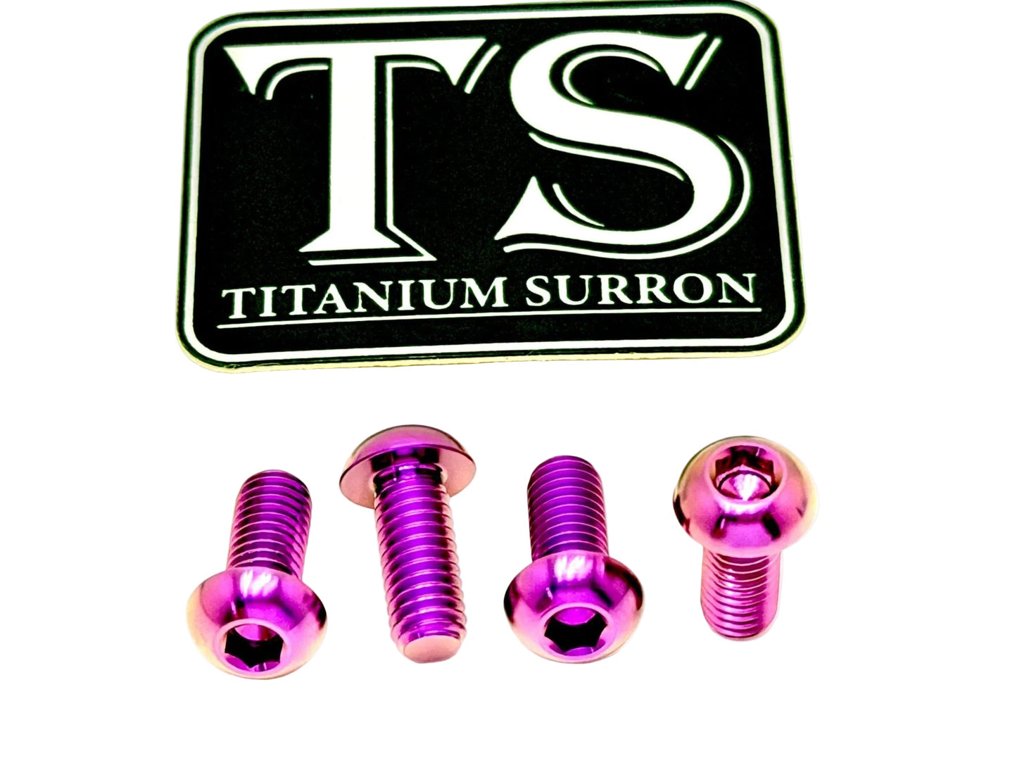 Titanium Controller Mount Bolts for E-moto
