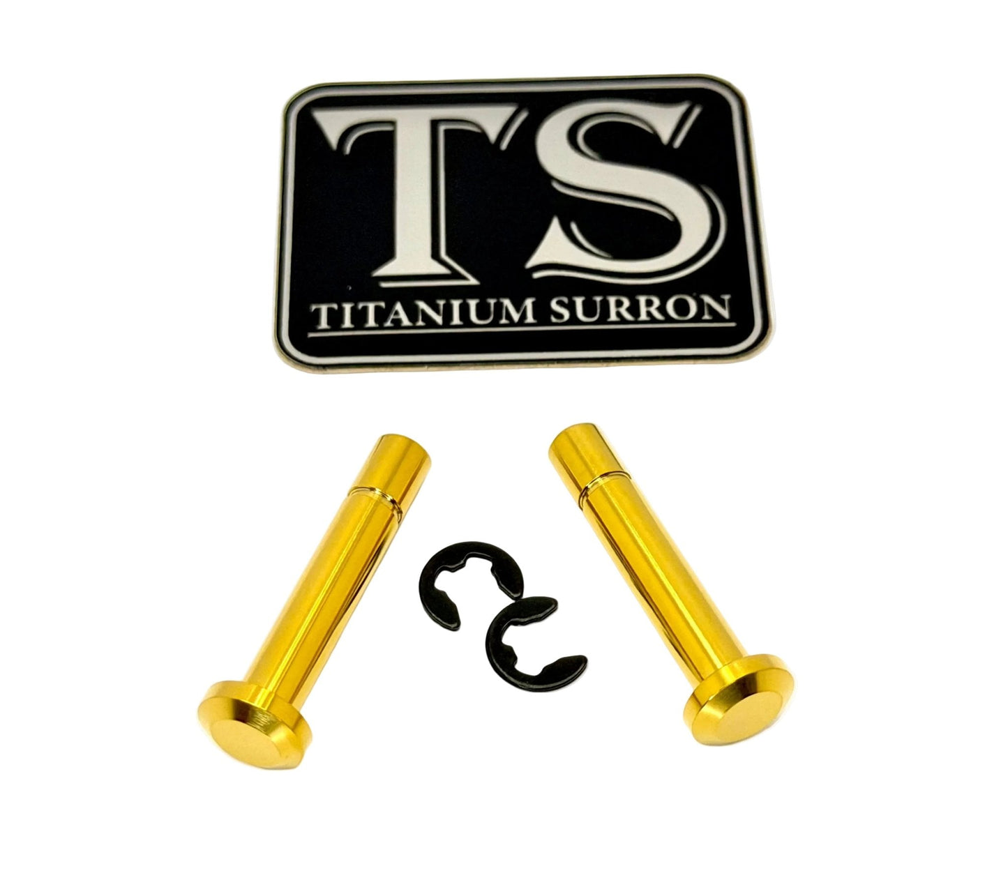 Titanium Battery Lid Pins - Surron LBX, Segway X-260