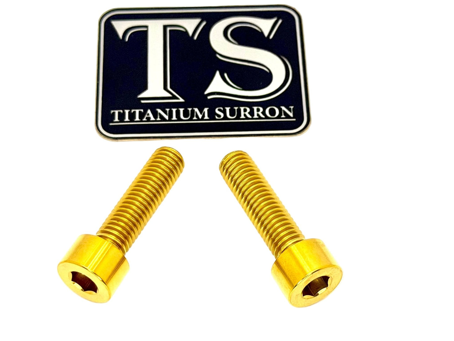 Titanium Caliper Bolts - Surron Ultra Bee Front Only