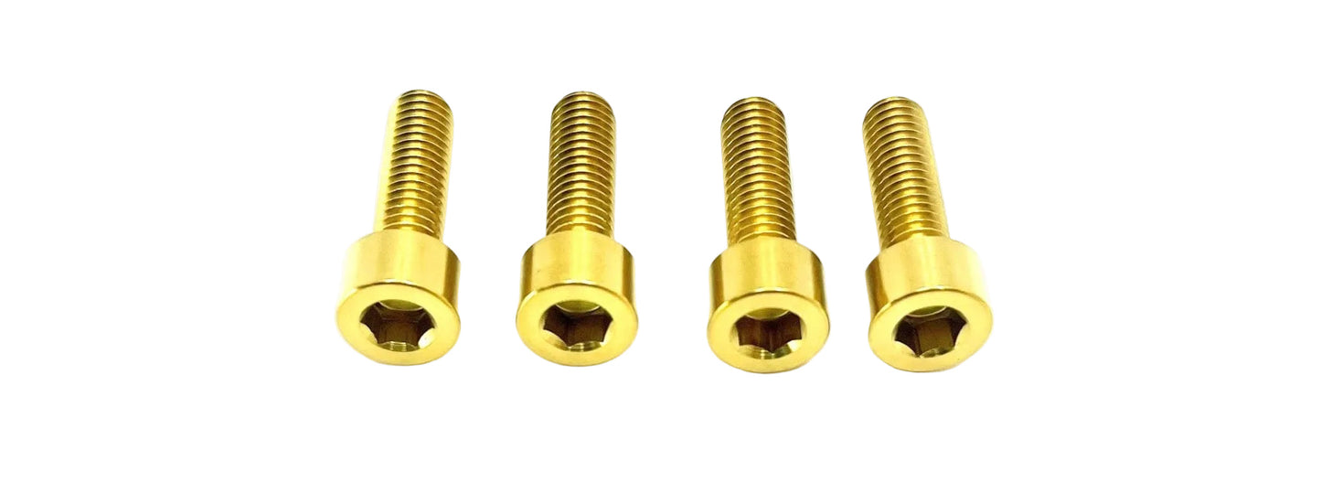 Formula E-Moto Brake Handle-Mount Titanium Bolts