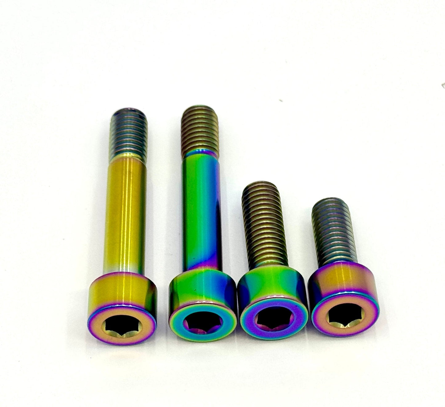 Titanium Motor Bolts - E-Ride Pro (2.0, 3.0, SR)