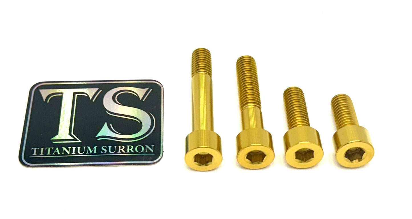 Titanium Motor Bolts - E-Ride Pro (2.0, 3.0, SR)