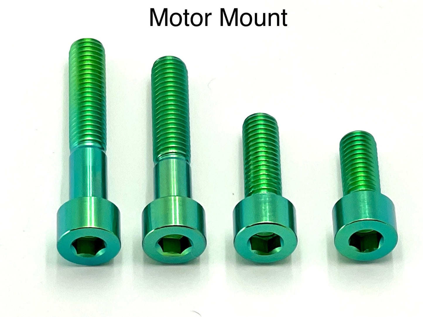 Titanium Motor Bolts - E-Ride Pro (2.0, 3.0, SR)