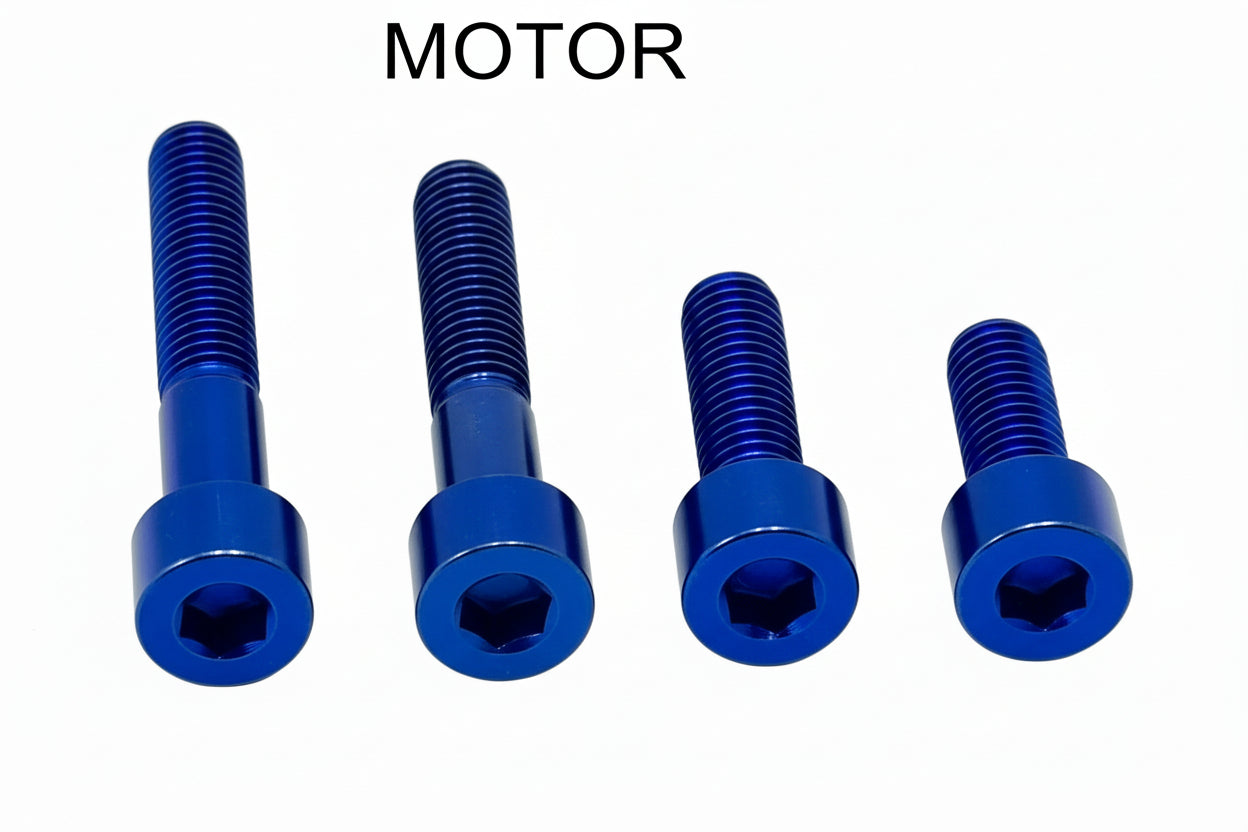 Titanium Motor Bolts - E-Ride Pro (2.0, 3.0, SR)