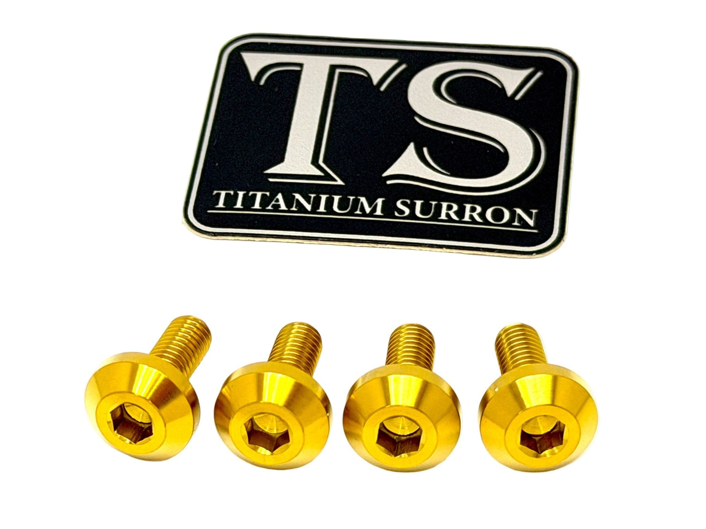 Titanium Surron Ultra Bee Brake Hand Guard Bolts