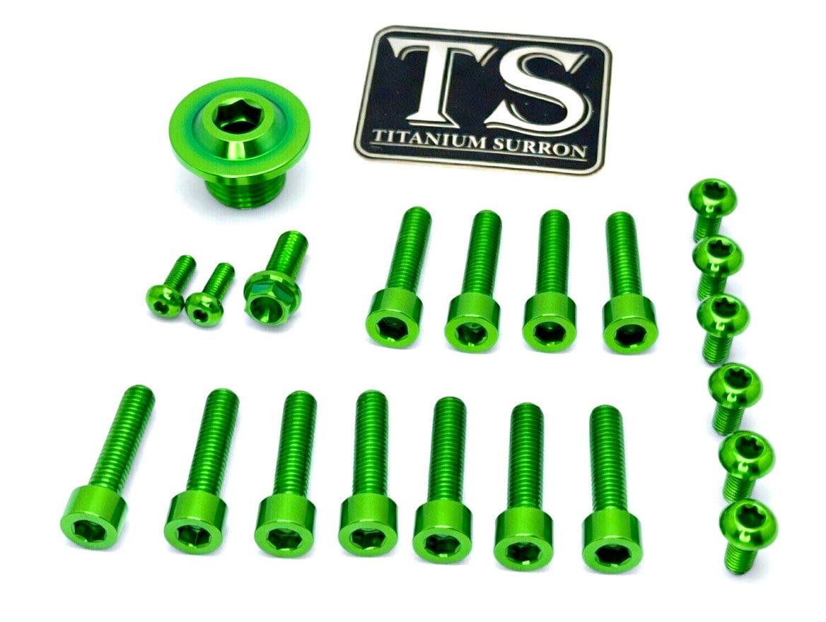Titanium Surron Ultra Bee OEM Fork Bolt Kit