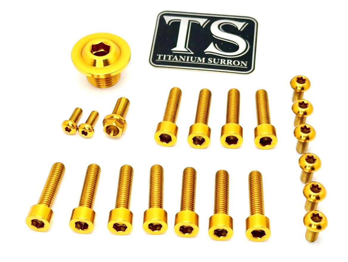 Titanium Surron Ultra Bee OEM Fork Bolt Kit